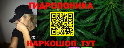 дмт Обнинск
