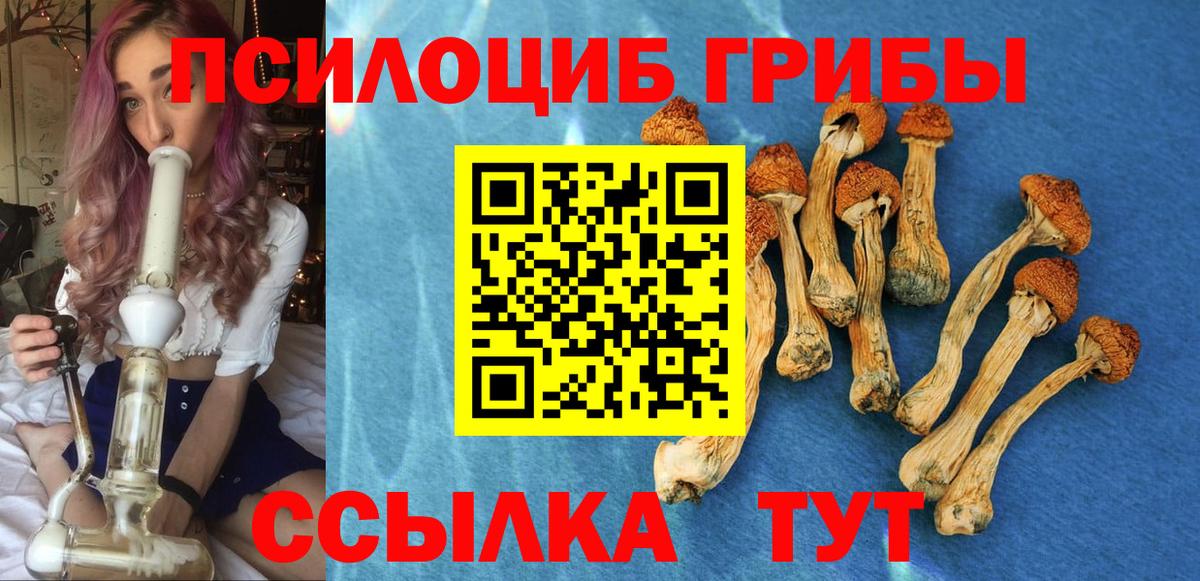 Псилоцибиновые грибы ЛСД  Вход с VPN  Псилоцибиновые грибы мицелий  Азов 